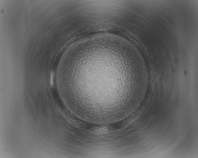 X0000056370075200508291412