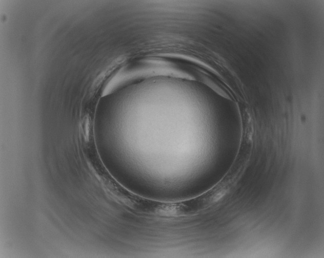 X0000056370076200508291412