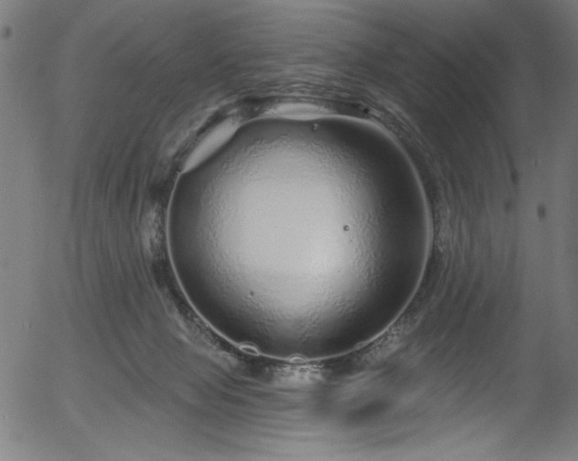 X0000056370077200508291412