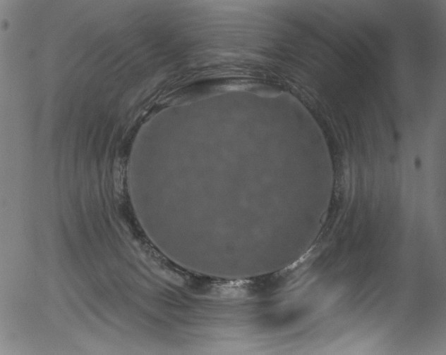 X0000056370078200508291412