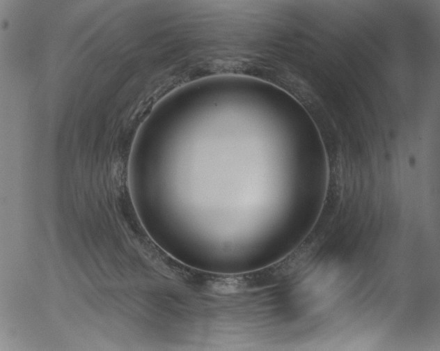 X0000056370079200508291412