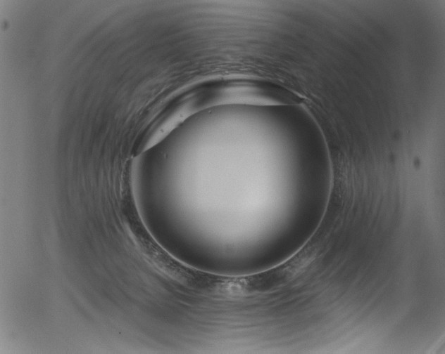 X0000056370080200508291412