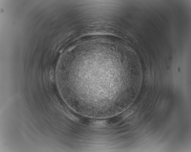 X0000056370081200508291412