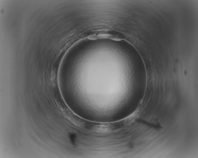 X0000056370082200508291412