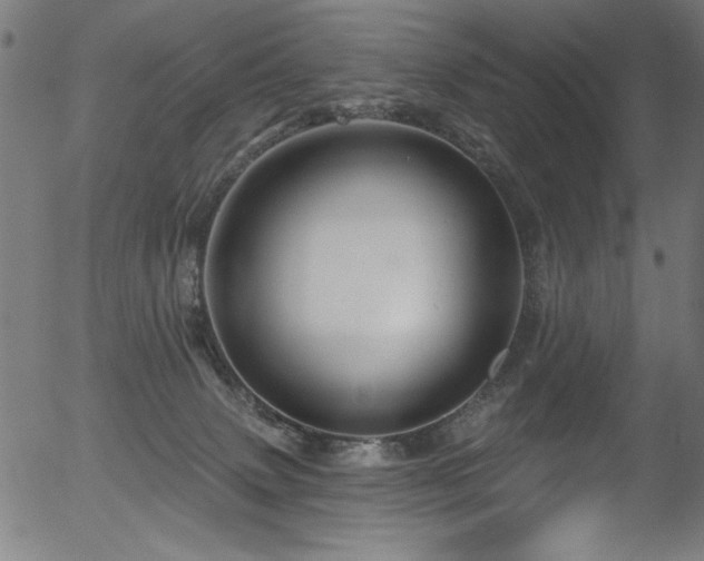 X0000056370083200508291412