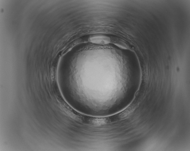 X0000056370085200508291412