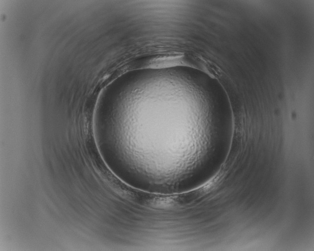 X0000056370086200508291412