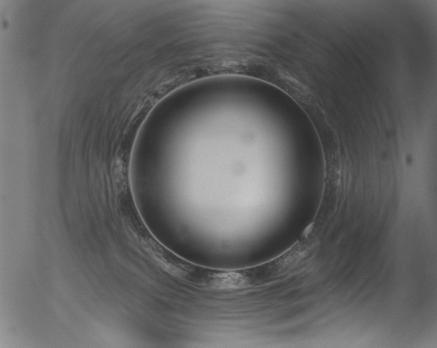 X0000056370087200508291412