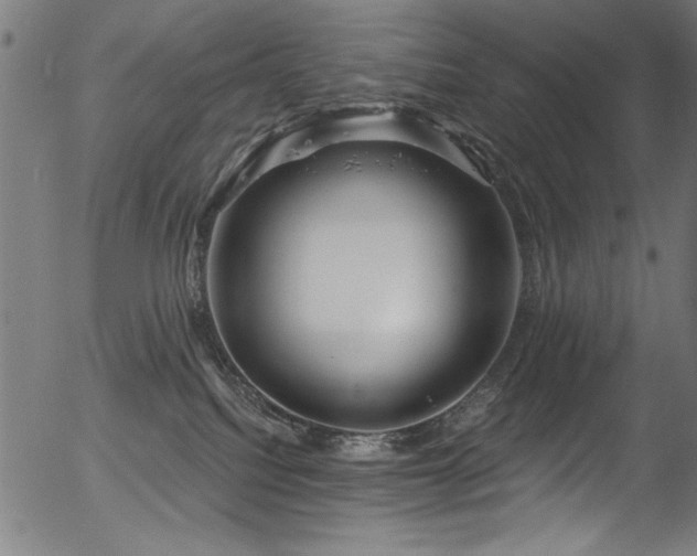 X0000056370088200508291412