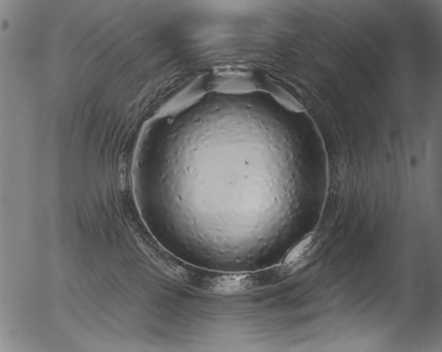 X0000056370090200508291412