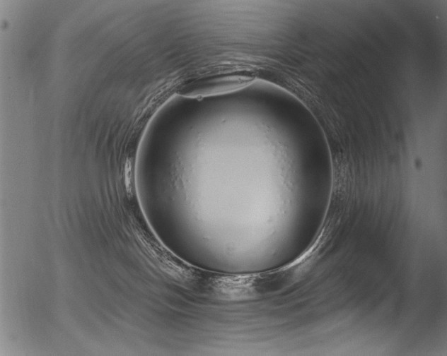 X0000056370094200508291412