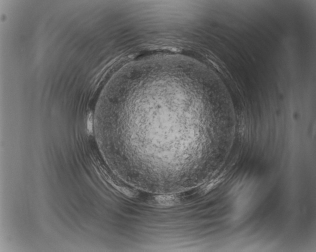 X0000056370095200508291412