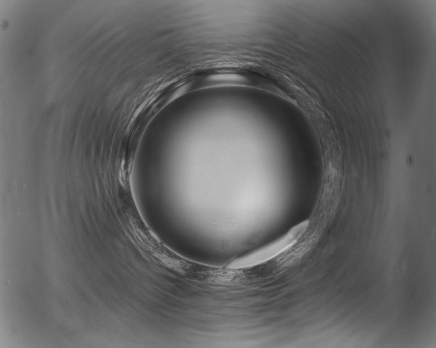 X0000056370096200508291412