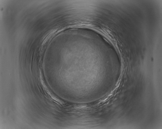 X0000056370097200508291411