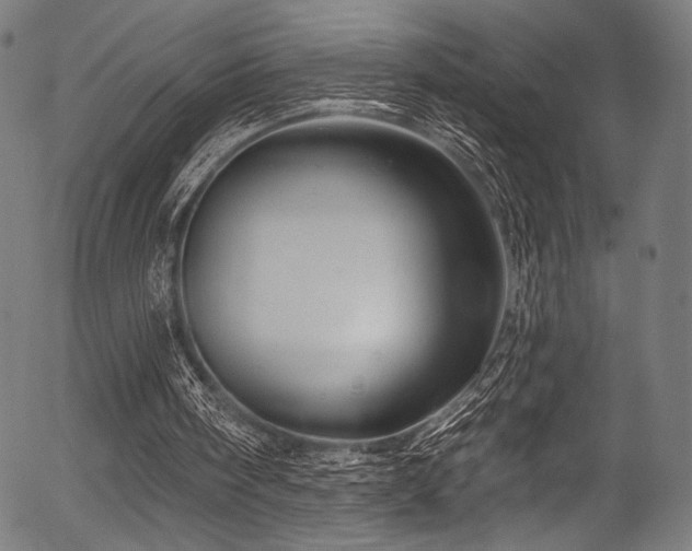 X0000056370098200508291411