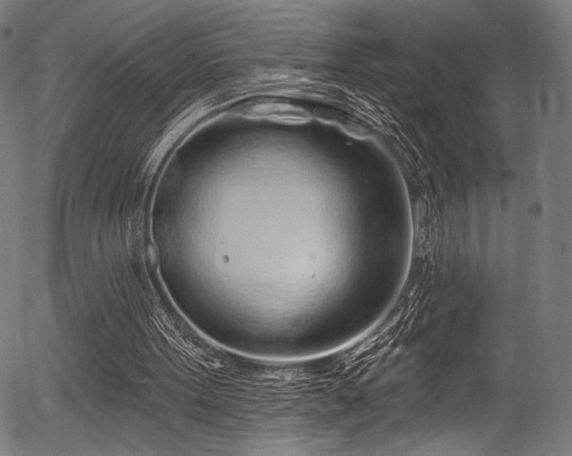 X0000056370099200508291411