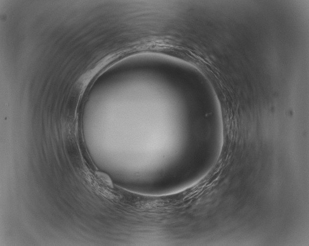 X0000056370100200508291411