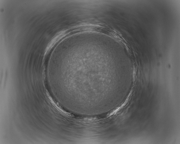 X0000056370101200508291411