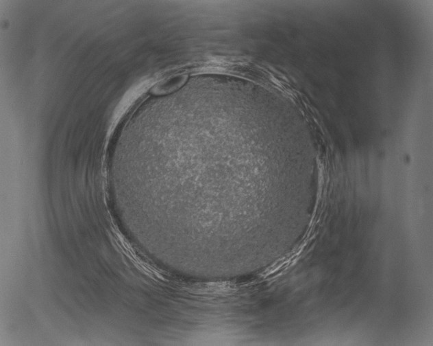 X0000056370102200508291411