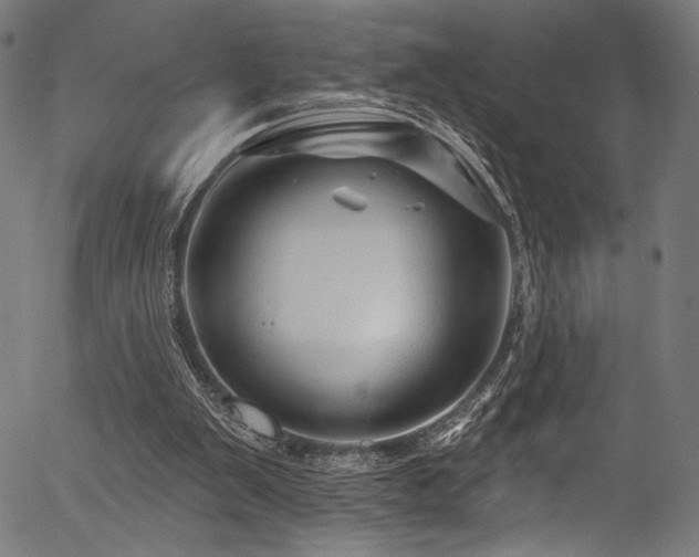 X0000056370103200508291411