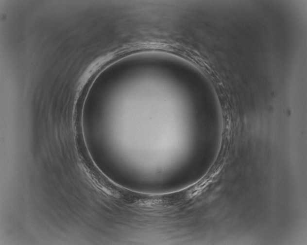 X0000056370104200508291411