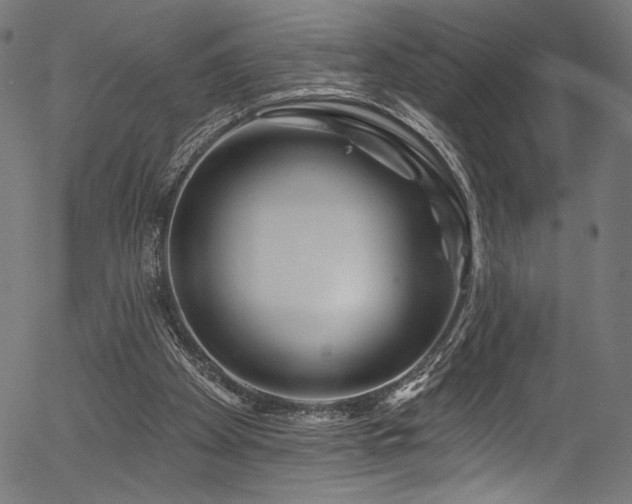 X0000056370105200508291411