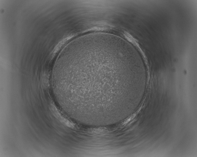 X0000056370106200508291411