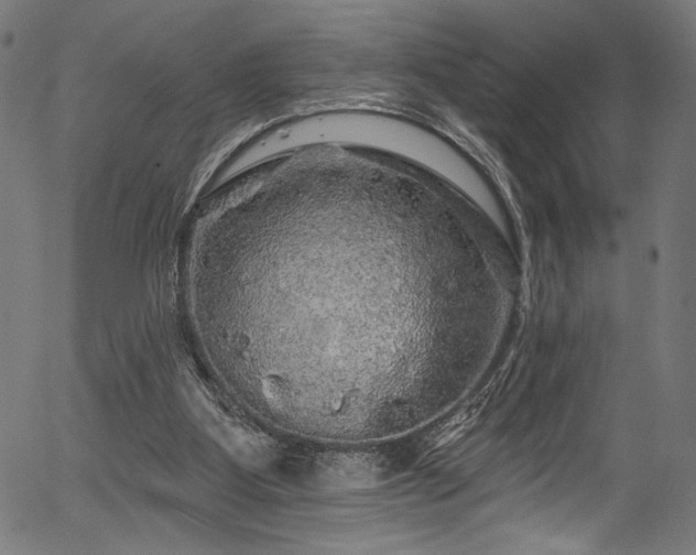 X0000056370107200508291411