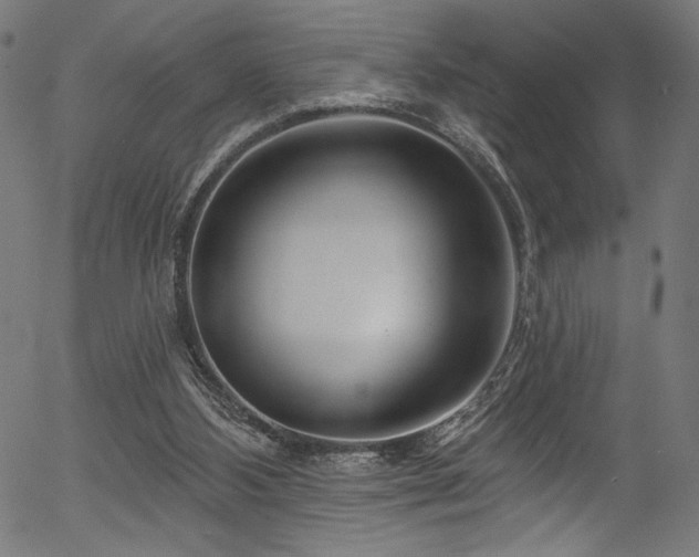 X0000056370108200508291411