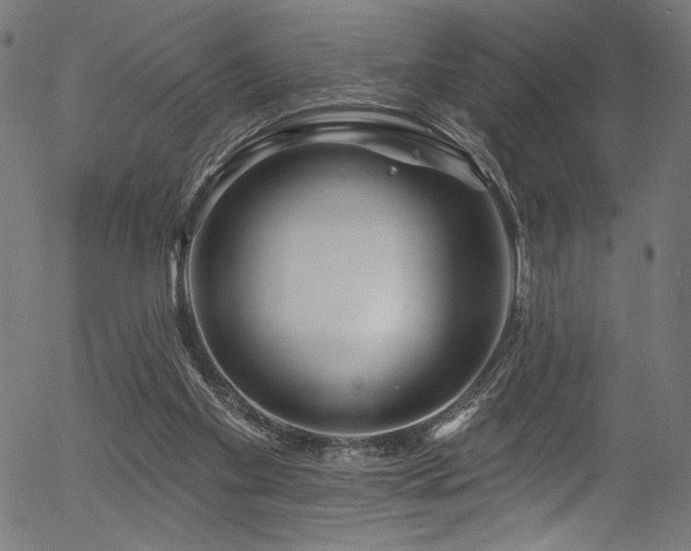 X0000056370109200508291411