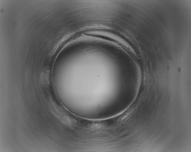 X0000056370111200508291411