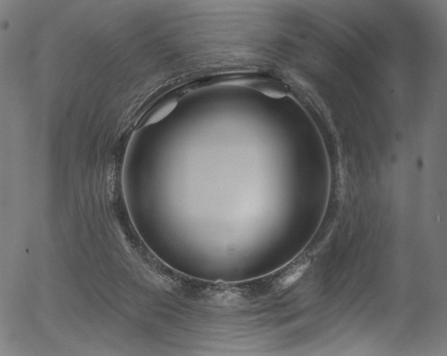 X0000056370113200508291411