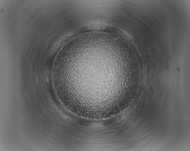 X0000056370114200508291411