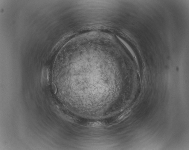 X0000056370115200508291411