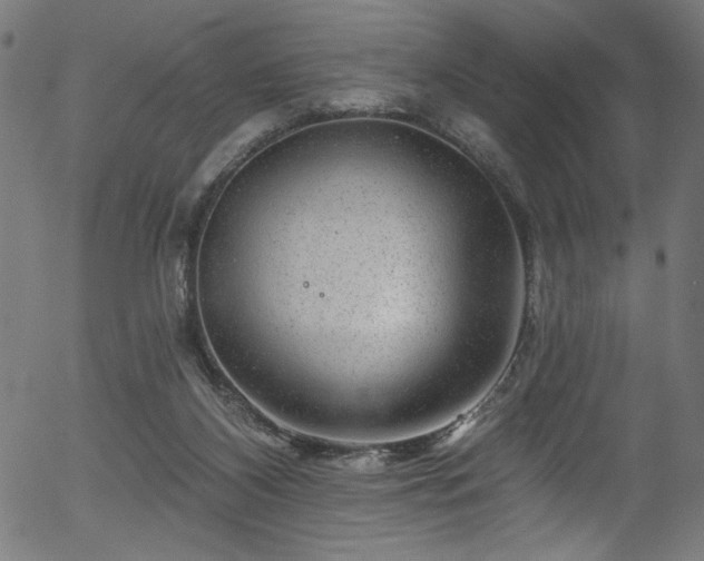 X0000056370116200508291411