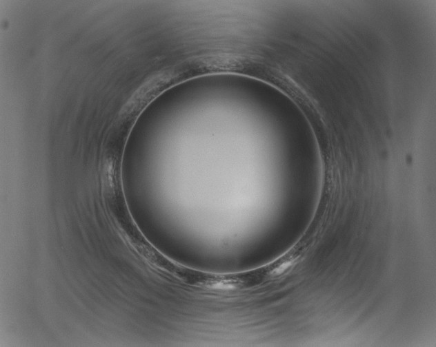 X0000056370117200508291411