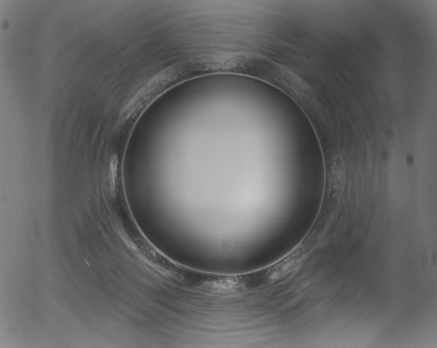 X0000056370118200508291411