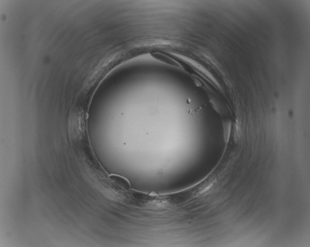 X0000056370119200508291411