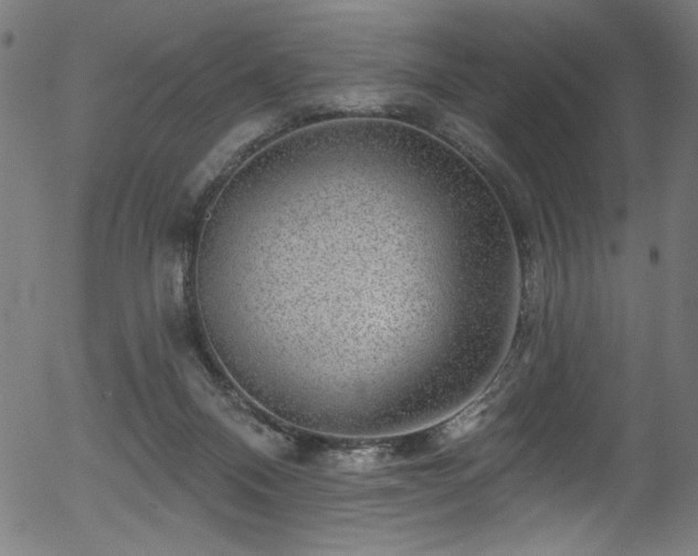 X0000056370120200508291411