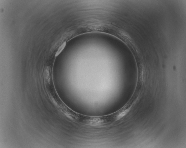 X0000056370121200508291411