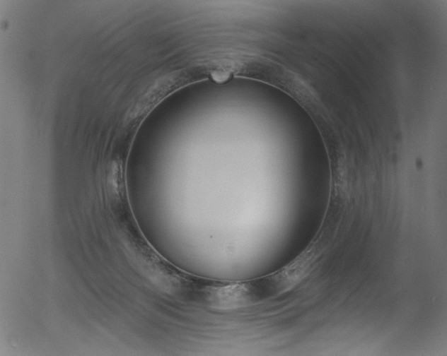 X0000056370122200508291411