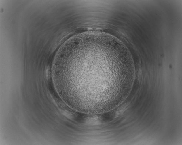 X0000056370123200508291411