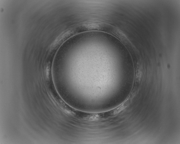 X0000056370124200508291411