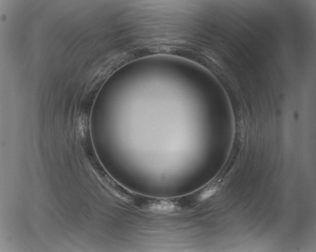 X0000056370125200508291411