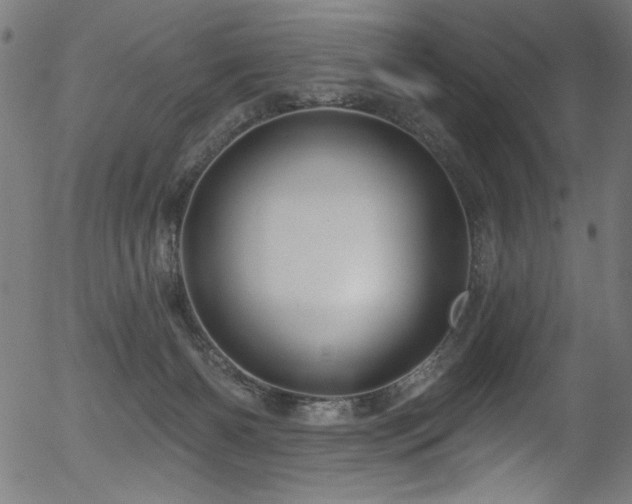 X0000056370126200508291411