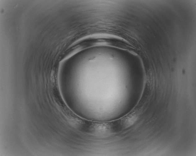 X0000056370127200508291411