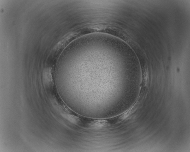 X0000056370128200508291411