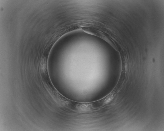 X0000056370129200508291411