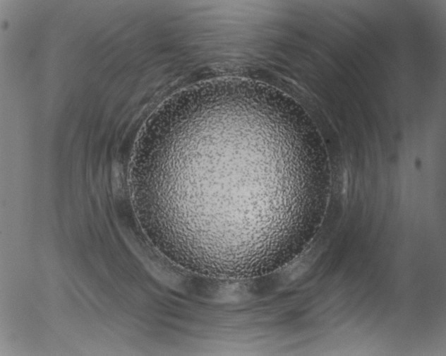 X0000056370130200508291411