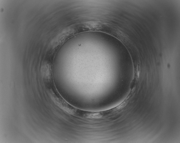 X0000056370132200508291411